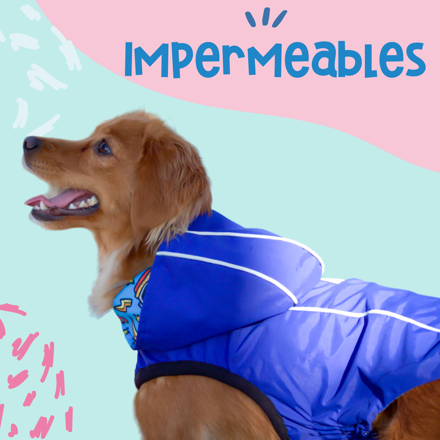 Impermeables para perros