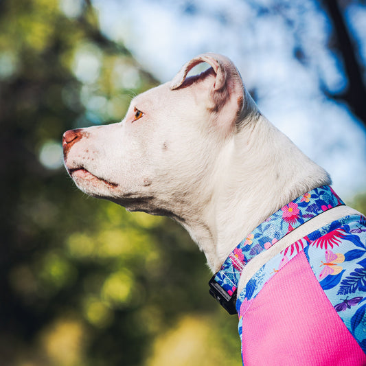 Collar floral flutter